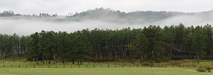 Black Hills Panorama with Fog, SD